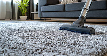 Preferred Carpet Cleaning Solutions for North Dunedin Residents