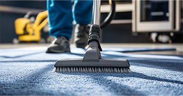 Tailored Carpet Cleaning South Dunedin Services