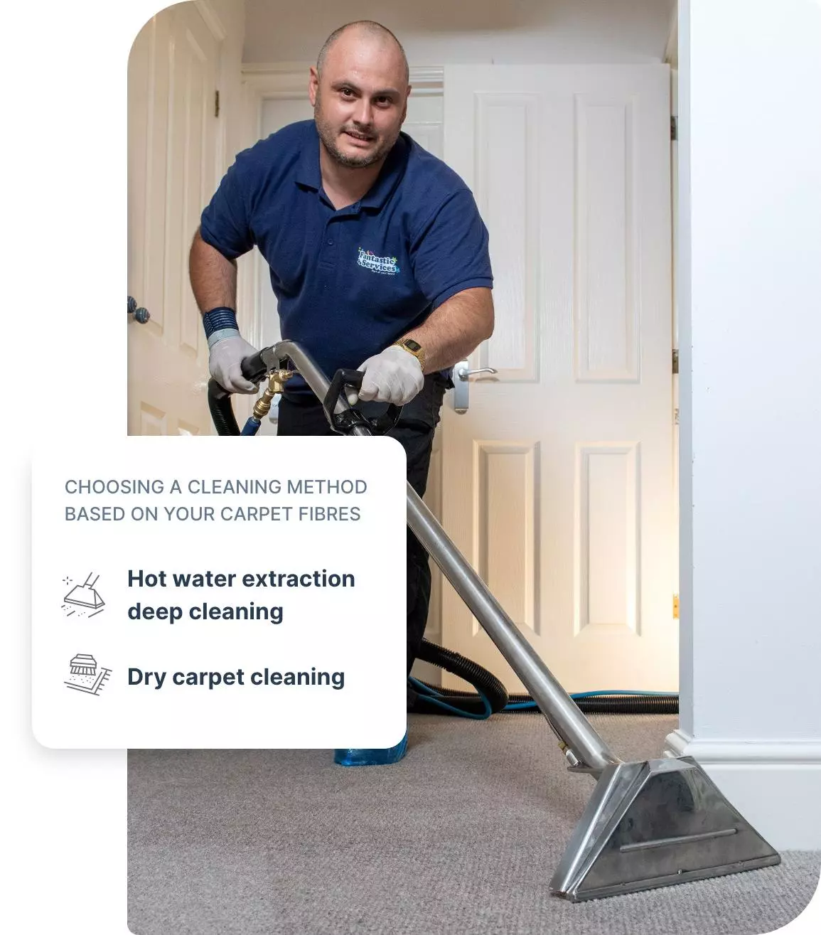 Carpet Cleaning Dunedin